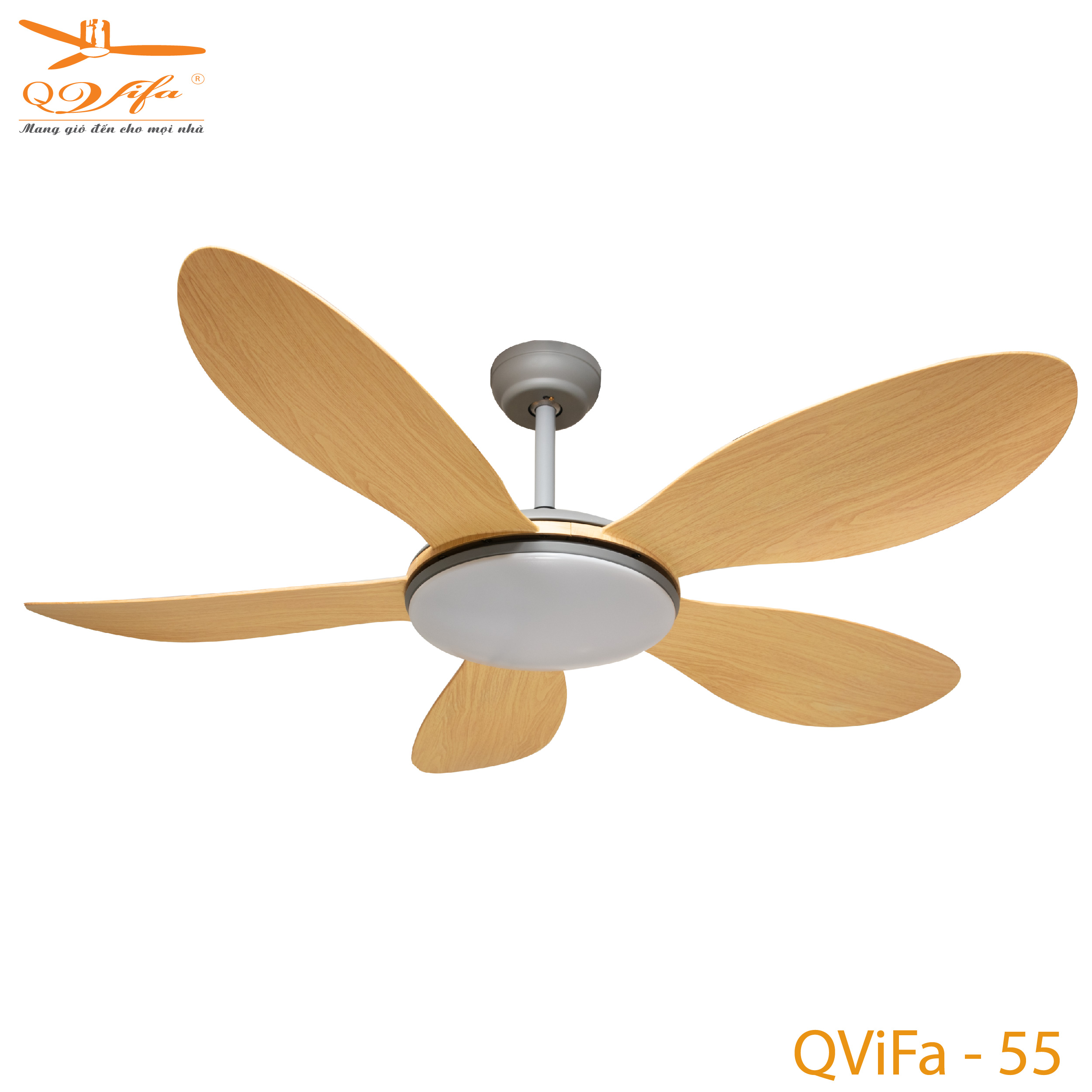 qvifa-55-b-01-1 Quạt trần phòng khách