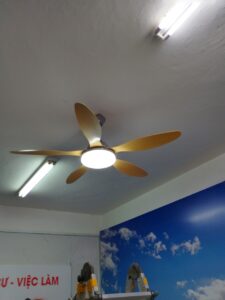 Lắp quạt trần QViFa - 62 - 23