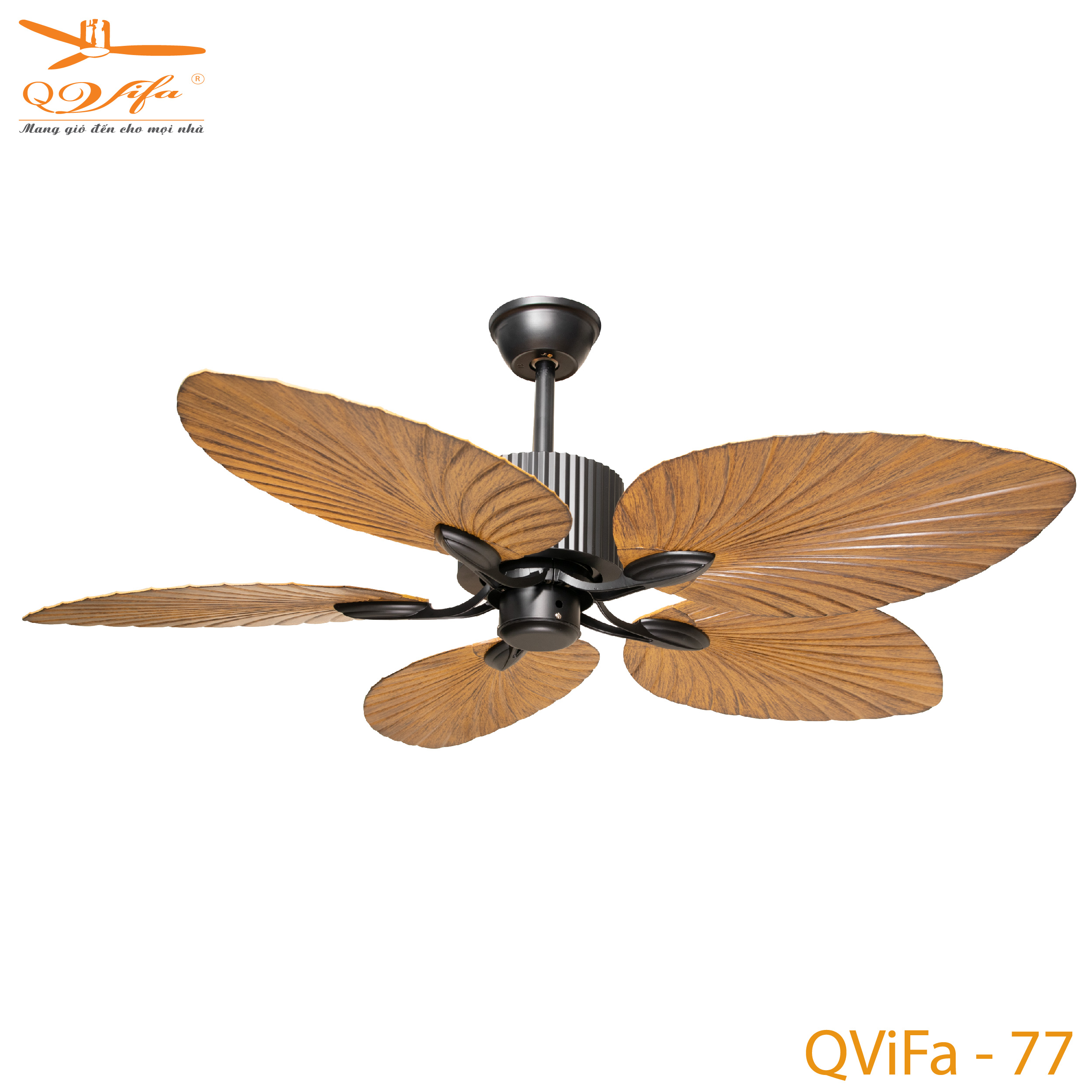 qvifa-77-01-1 Quạt trần phòng khách