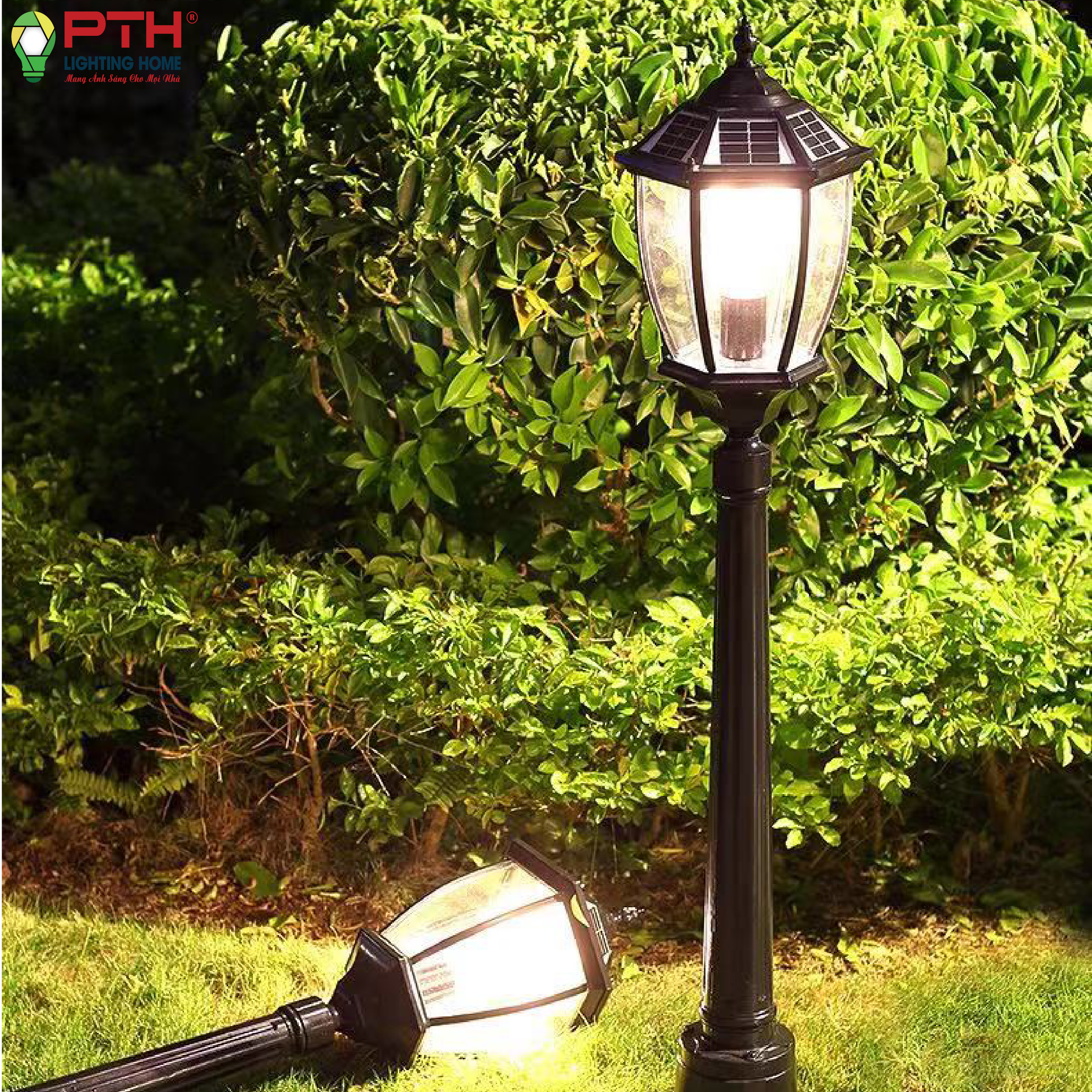 td-60-web-01-1 Đèn sân vườn năng lượng mặt trời TD - 60
