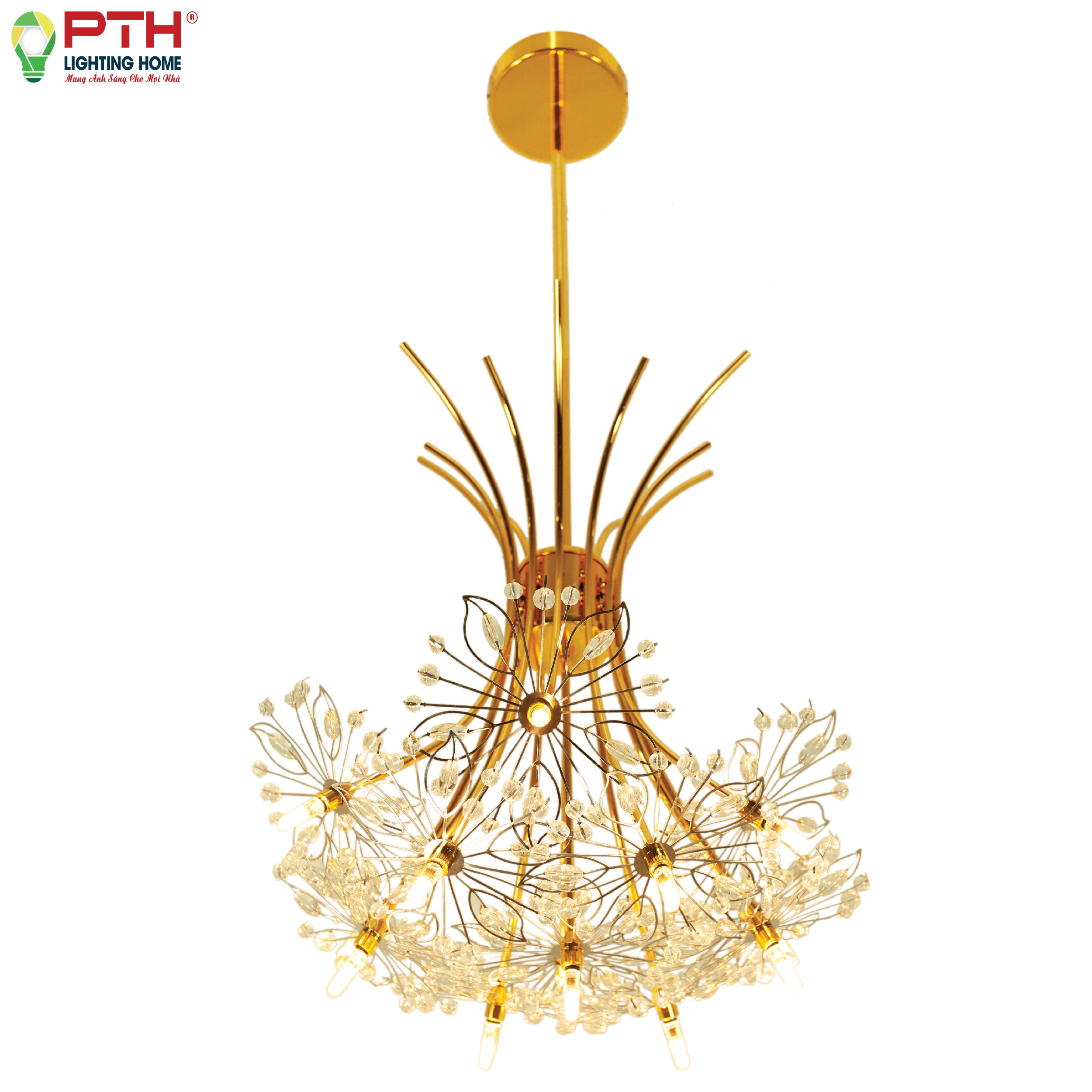 thcn-104a-21-13-bong-a-web-01-1 Đèn thả hoa chổi vàng THCN 104A - 20/400